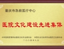 医院文化建设先进集体