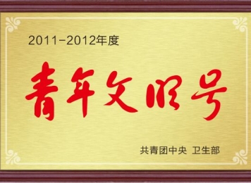 全国青年文明号