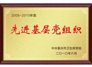 重庆市先进基层党组织