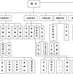 医院组织结构图（2013年）